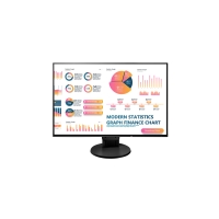 EIZO EV2456-BK - monitor LCD 24,1", Wide (16:10), IPS, LED, FlexStand 4 (czarny)