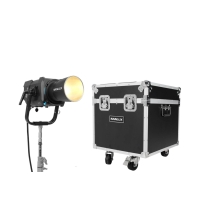 NanluxEvoke900CSpotLightwithFlightCase.jpg