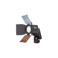 SWITS207013W800LuxLEDOncameraLight.jpg